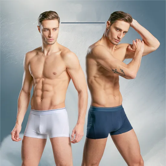 Custom Logo New Men′s Underwear Boxers Four Seasons Breathable Underpants Trend Shorts Boys Simple Boxer