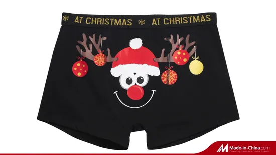 Boys′ Shorts Trunks Children′ S Swimwear 