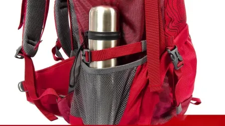 2020 Fashion Campus Shoolbags Casual Bags 